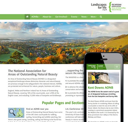 website_naaonb.jpg